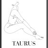 pareo taurus