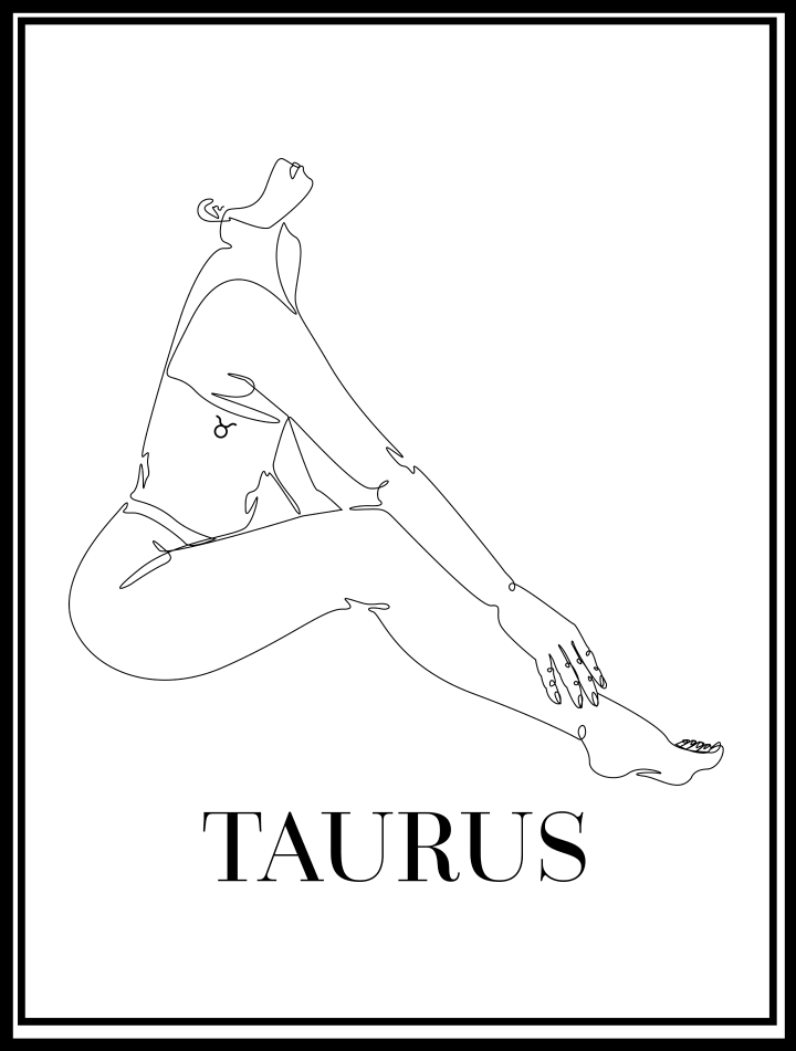 pareo taurus